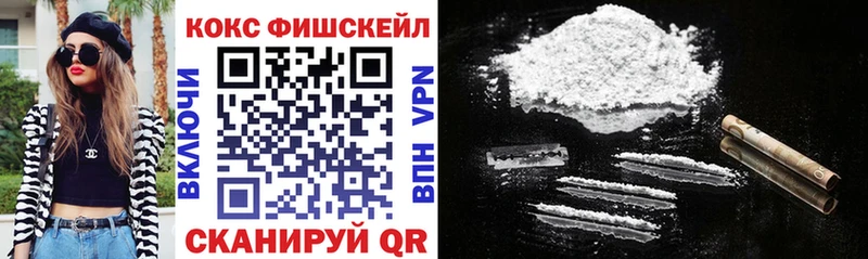 COCAIN Fish Scale  купить закладку  Губаха 