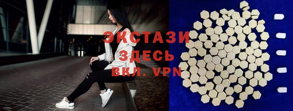 гашик Каменка