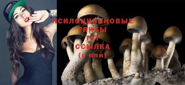 mdpv Белокуриха